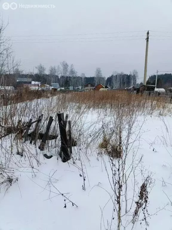 Участок в Новосибирск, садовое товарищество Буревестник (6.2 м) - Фото 1