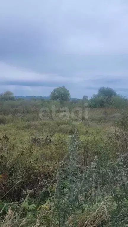 Участок в Амурская область, Благовещенский район, с. Усть-Ивановка ... - Фото 2