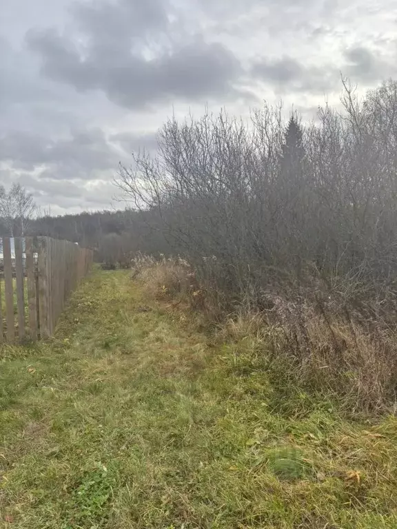 Участок в Московская область, Ступино городской округ, д. Колдино  ... - Фото 2