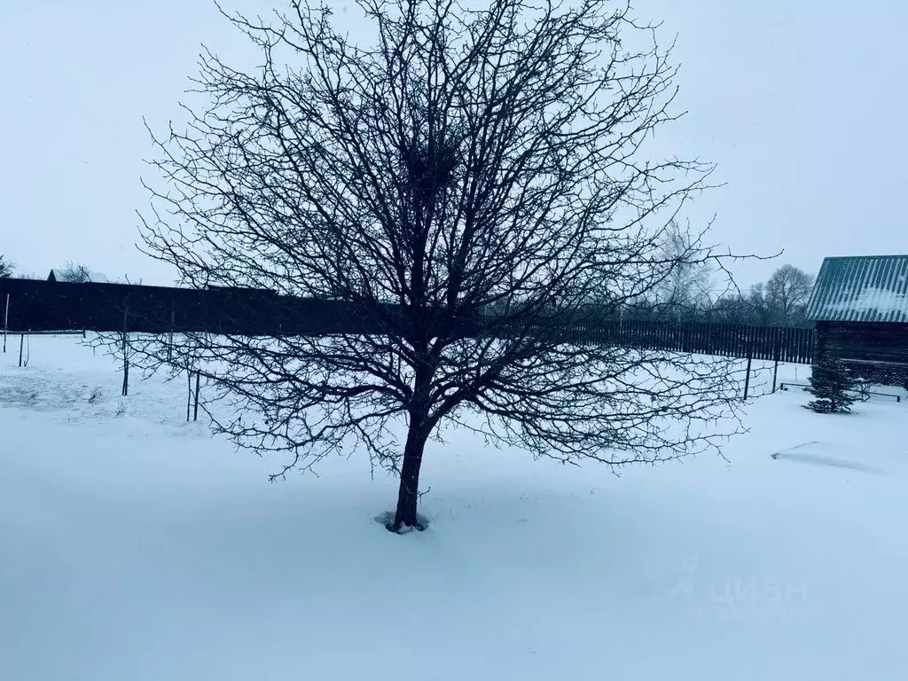 Дом в Самарская область, Кинельский район, Георгиевка с/пос, с. ... - Фото 2
