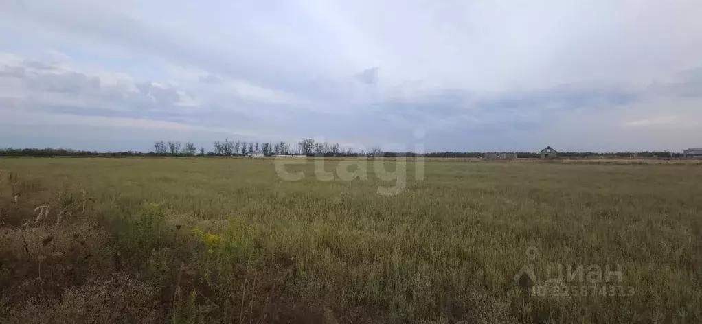 Участок в Краснодарский край, Белореченск  (6.32 сот.) - Фото 2