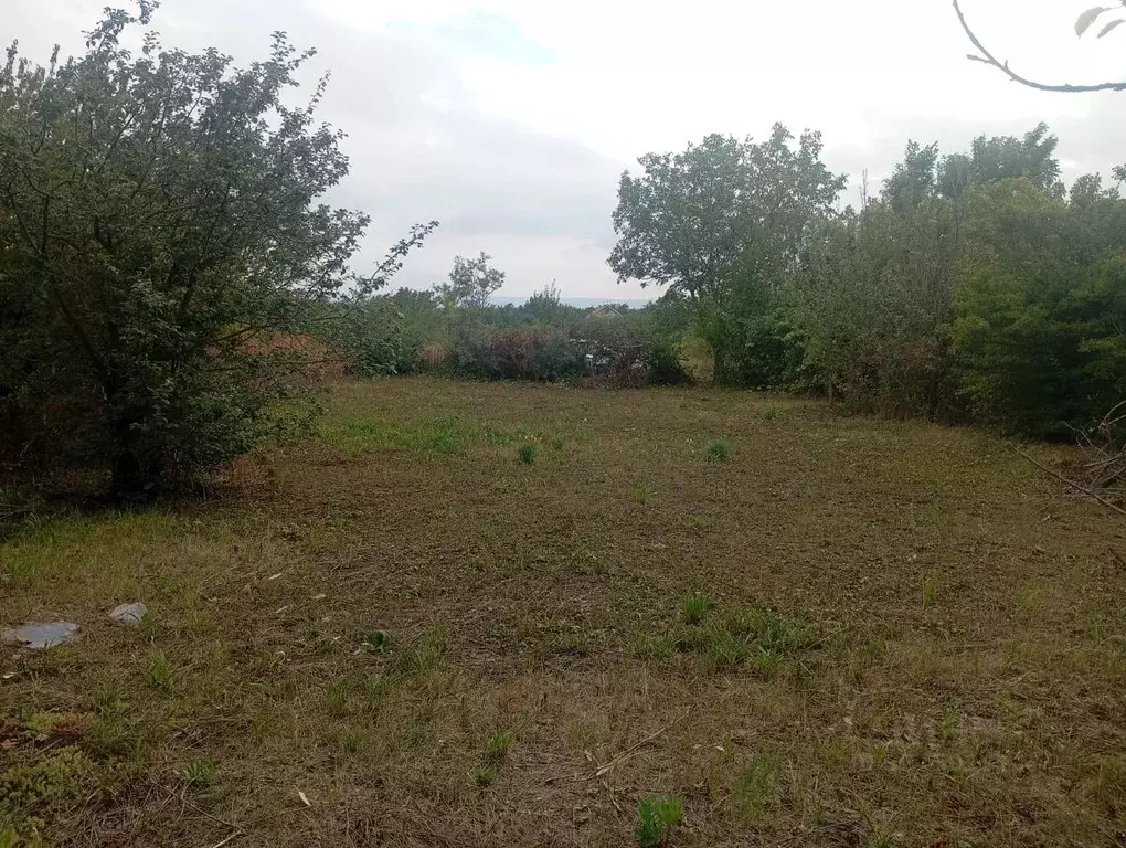 Участок в Ставропольский край, Ставрополь Вольница-2 садовое ... - Фото 1