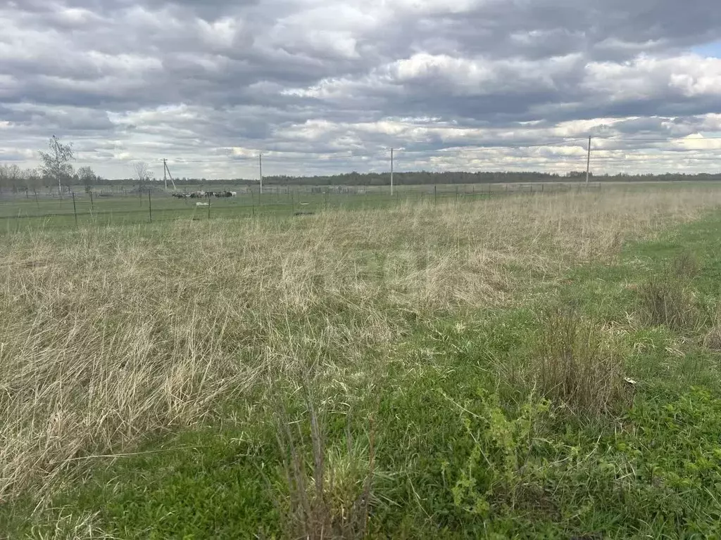 Участок в Тверская область, Калининский муниципальный округ, д. ... - Фото 1