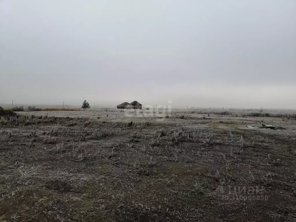 Участок в Курская область, Курский район, Моковский сельсовет, д. ... - Фото 0