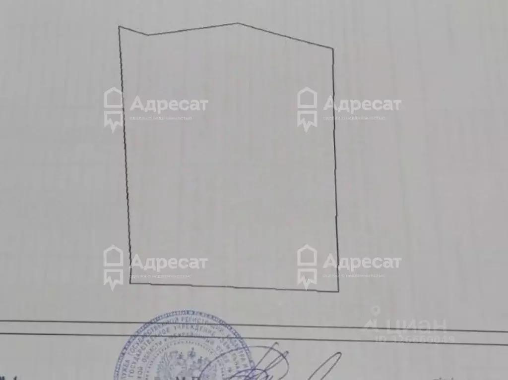 Участок в Волгоградская область, Городищенский район, Вертячинское ... - Фото 2