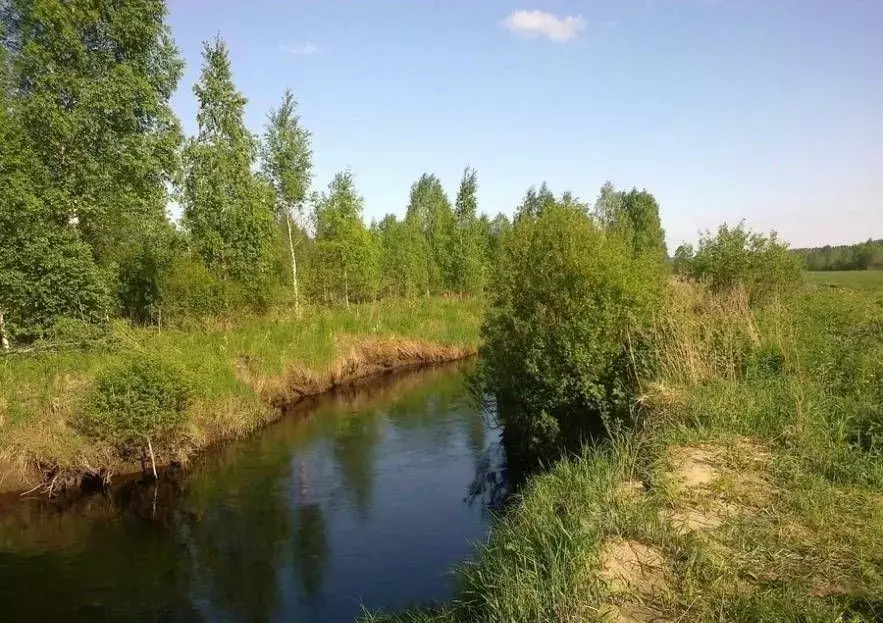 Участок в Ленинградская область, Выборгский район, Рощинское городское ... - Фото 1