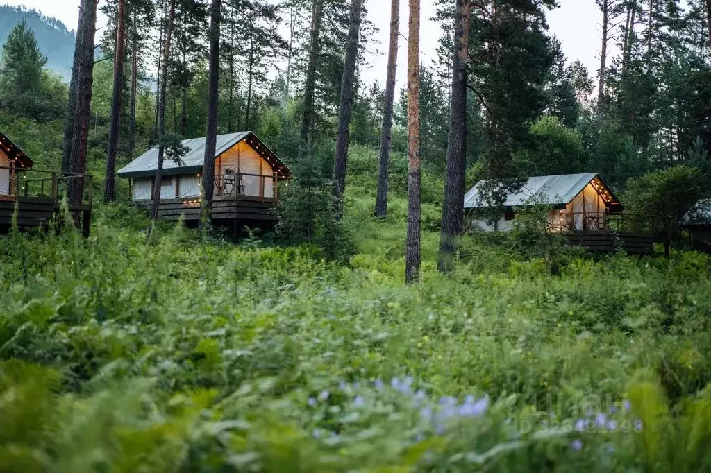 Дом в Алтай, Чемальский район Чемальский тракт, 10 км, 1/1 (22 м) - Фото 1