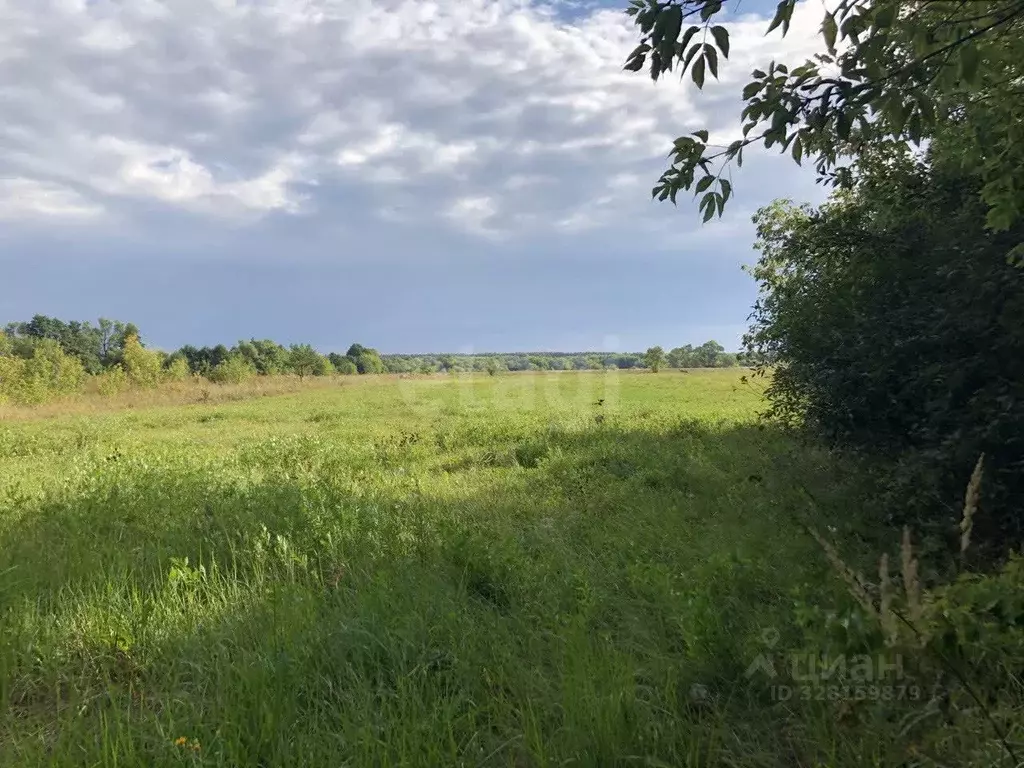 Дом в Липецкая область, Чаплыгинский муниципальный округ, с. Демкино ... - Фото 2