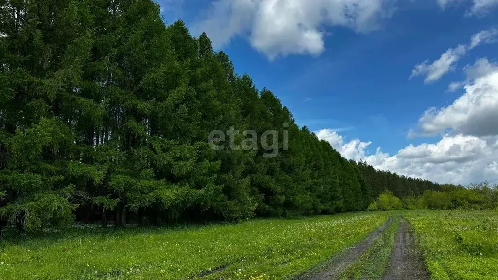 Участок в Башкортостан, Стерлитамакский район, Казадаевский сельсовет, ... - Фото 0