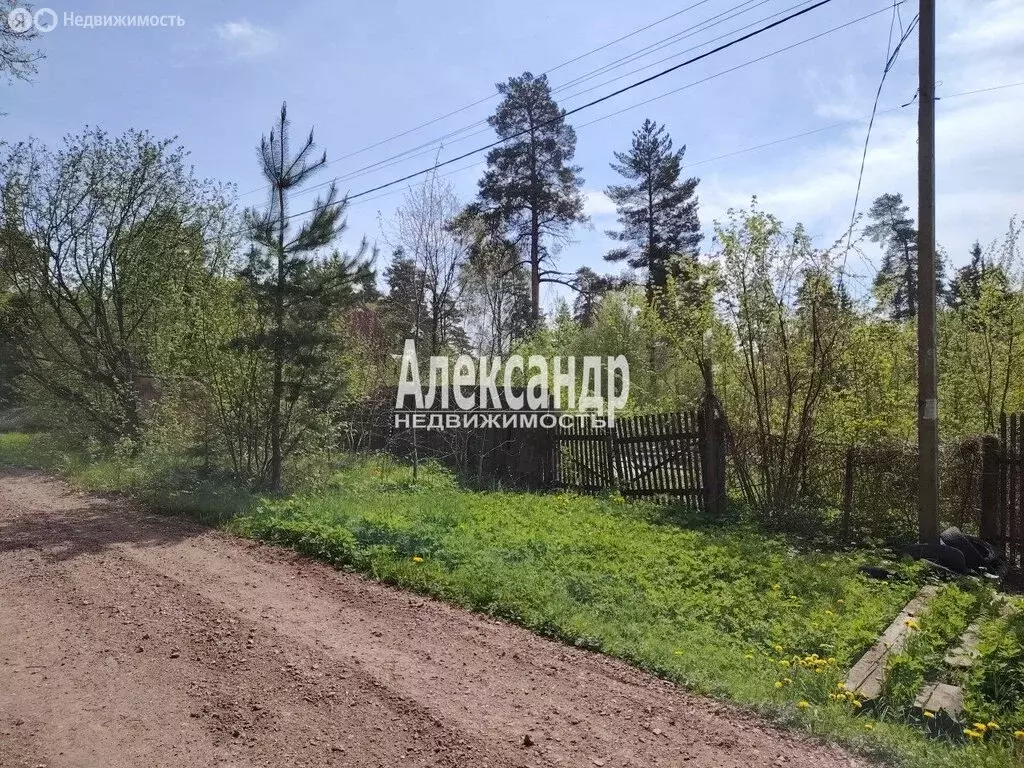 Участок в посёлок Шапки, Озёрная улица, 26 (11.72 м) - Фото 1