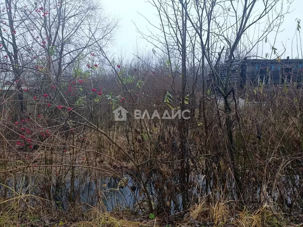 Участок в Владимирская область, Собинка ул. Гоголя, 26 (6.0 сот.) - Фото 1