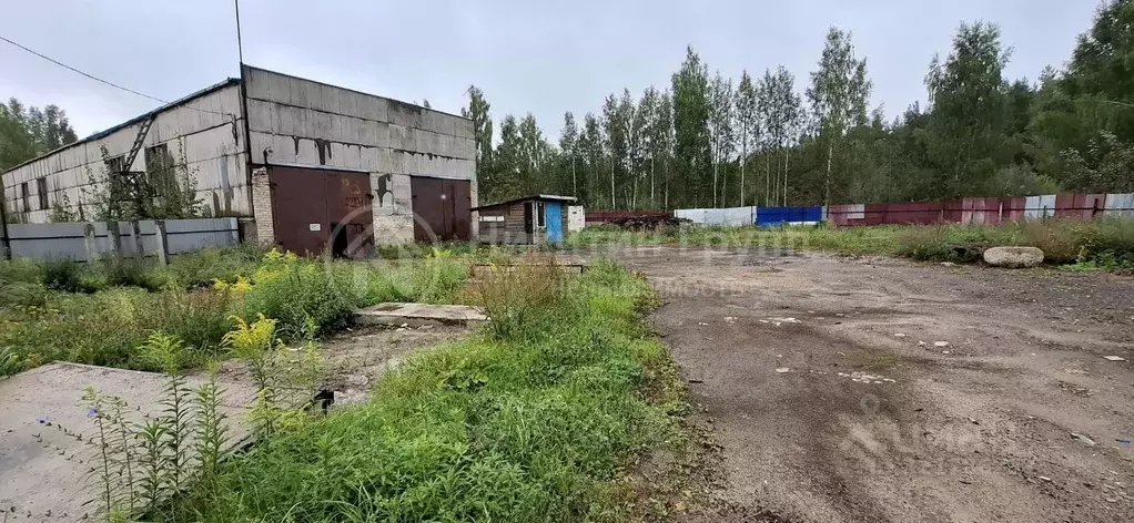 Производственное помещение в Нижегородская область, Семенов ул. ... - Фото 1