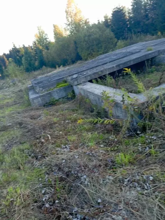 Участок в Кировская область, Киров городской округ, пос. Дороничи ул. ... - Фото 2