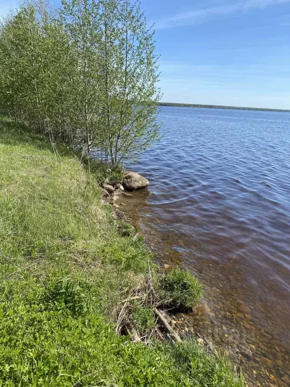 Участок в Вологодская область, Шекснинский район, Ершовское с/пос, д. ... - Фото 2