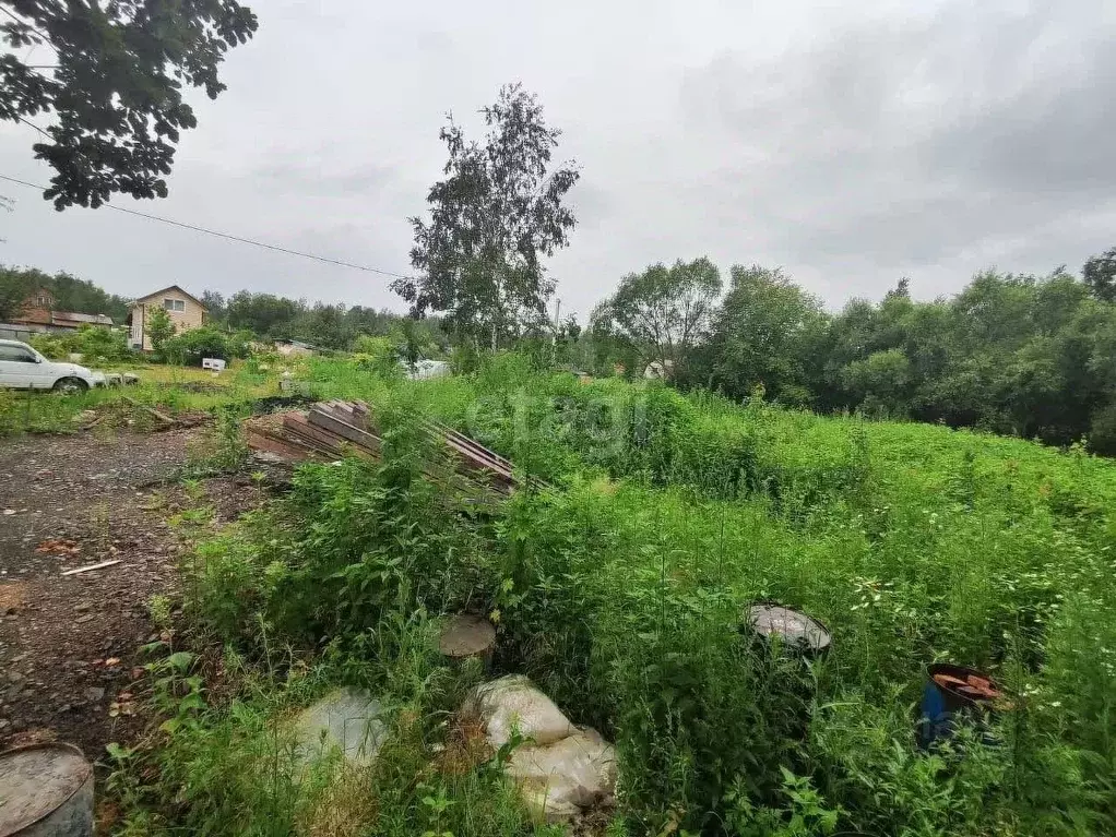 Участок в Хабаровский край, Хабаровск Энергостроитель садовое ... - Фото 1