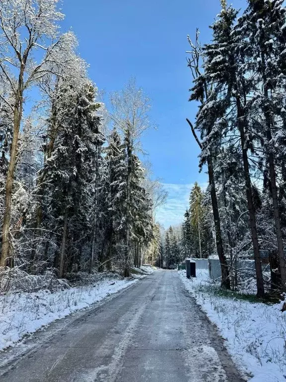 Участок в Московская область, Дмитровский муниципальный округ, д. ... - Фото 0