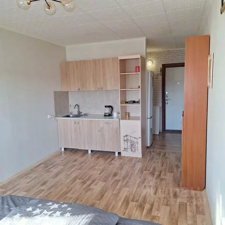 Студия Мурманская область, Апатиты Жемчужная ул., 19Б (25.0 м) - Фото 1