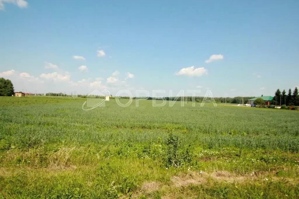 Участок в Тюменская область, Заводоуковск Первомайская ул. (53.0 сот.) - Фото 2