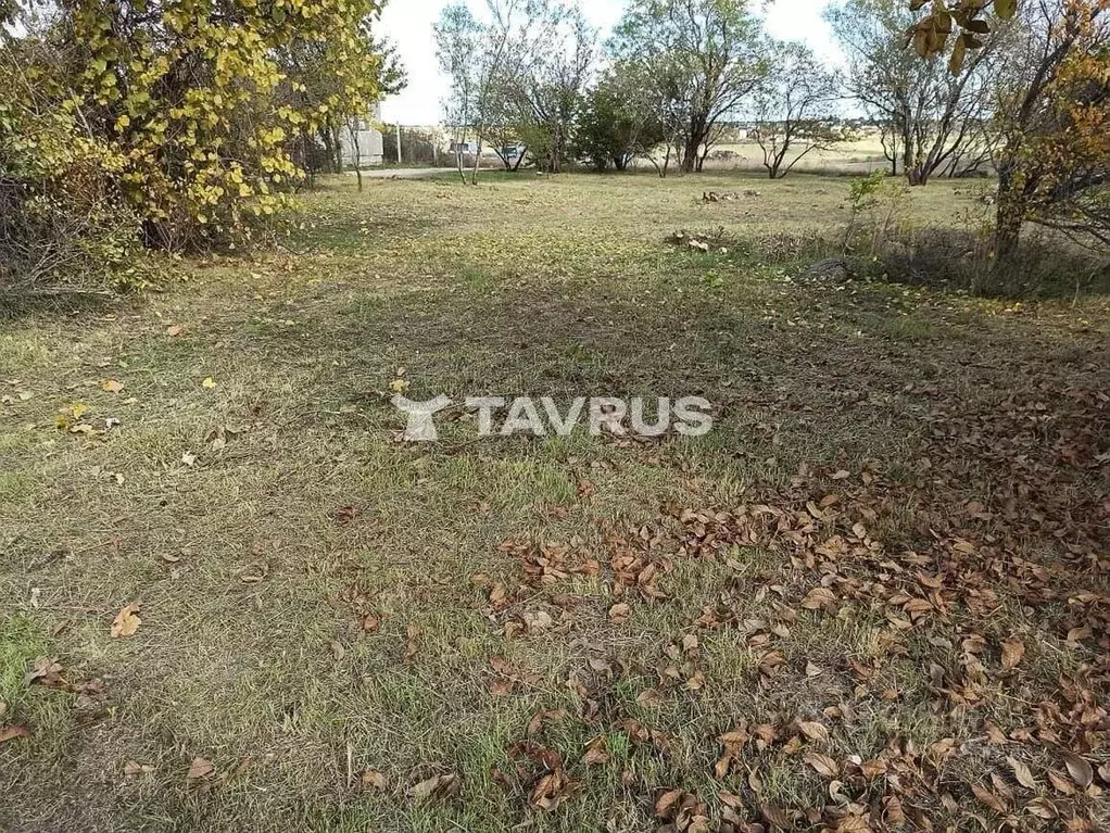 Участок в Крым, Симферопольский район, Трудовское с/пос, Минерал СНТ ... - Фото 2