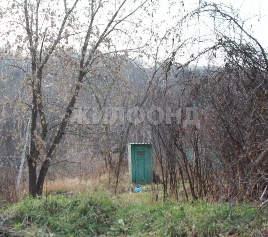 Участок в Новосибирская область, Новосибирский район, Барышевский ... - Фото 1