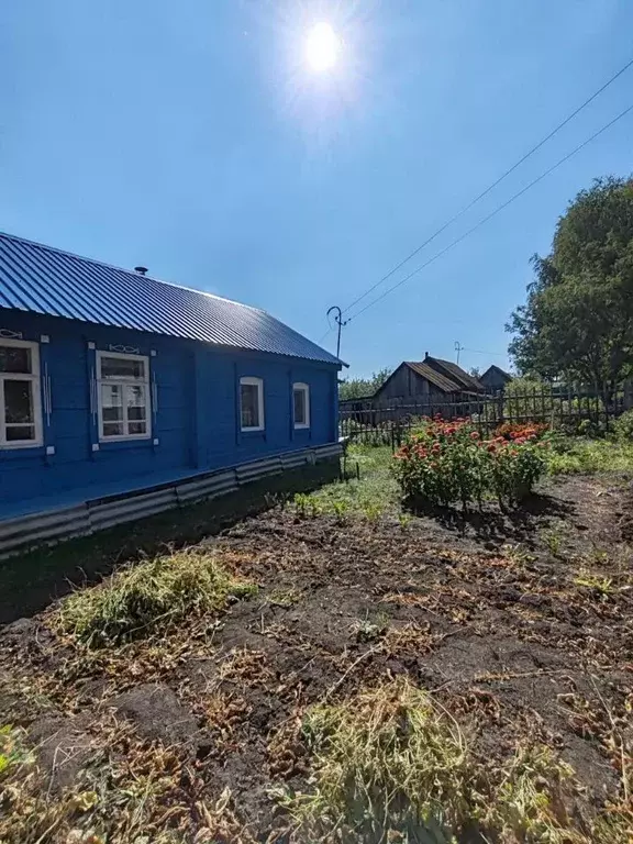 Дом в Пензенская область, Бессоновский район, с. Проказна ул. Поповка ... - Фото 1