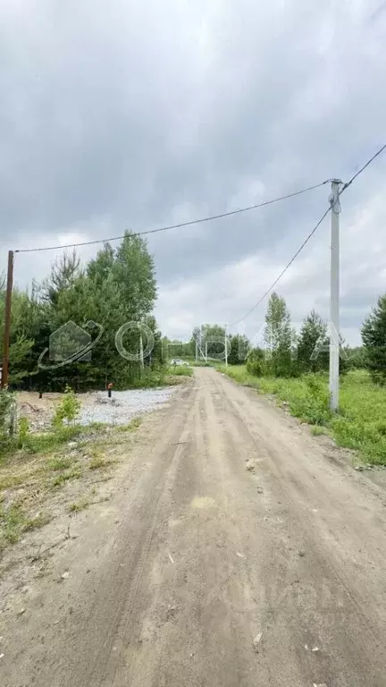 Участок в Тюменская область, Нижнетавдинский муниципальный округ, ... - Фото 1
