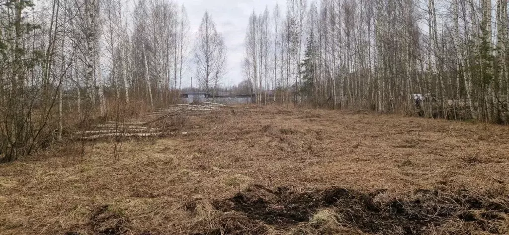 Участок в Ленинградская область, Приозерский район, Красноозерное ... - Фото 2