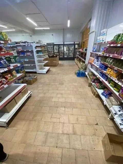 Помещение свободного назначения в Архангельская область, Вельский ... - Фото 2