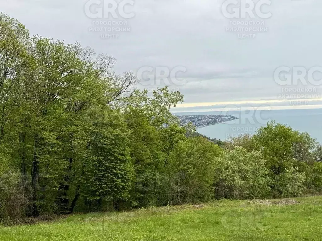 Участок в Краснодарский край, Сочи ул. Ручей Видный (208.0 сот.) - Фото 0
