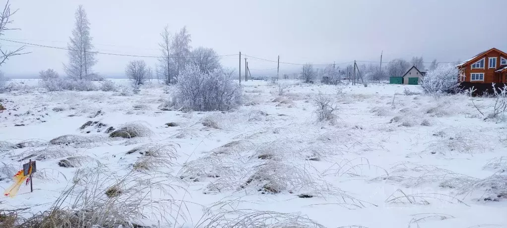 Участок в Нижегородская область, Кстовский муниципальный округ, с. ... - Фото 1