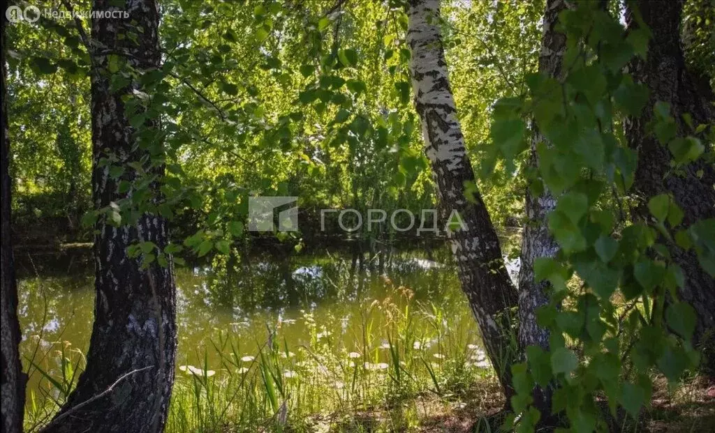 Участок в Новосибирский район, Кудряшовский сельсовет, посёлок ... - Фото 2