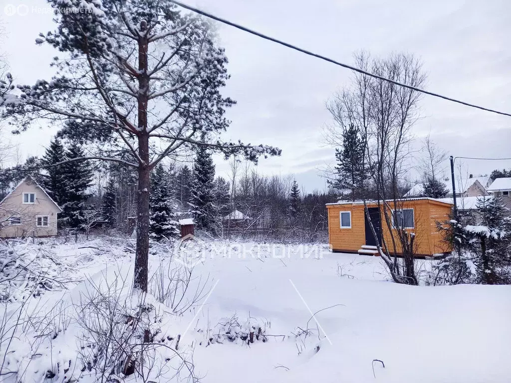 Участок в Выборгский район, Рощинское городское поселение, СНТ Карелия ... - Фото 1