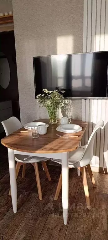 Студия Тюменская область, Тюменский муниципальный округ, д. Дударева ... - Фото 2