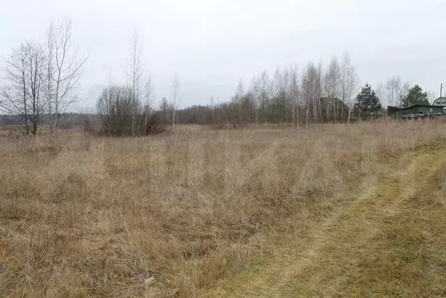 Купить Участок В Зверево Новая Москва