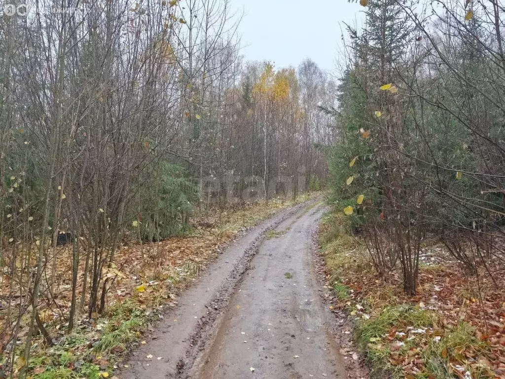 Участок в Воткинский район, СНТ Яблонька (246 м) - Фото 1