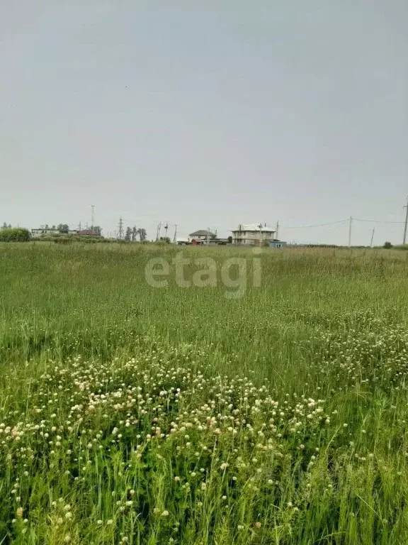 Участок в Амурская область, Благовещенский район, с. Волково  (14.0 ... - Фото 2