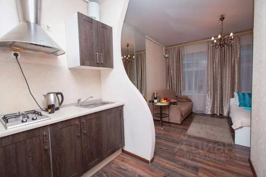 1-к кв. Санкт-Петербург Гороховая ул., 31 (23.0 м) - Фото 2