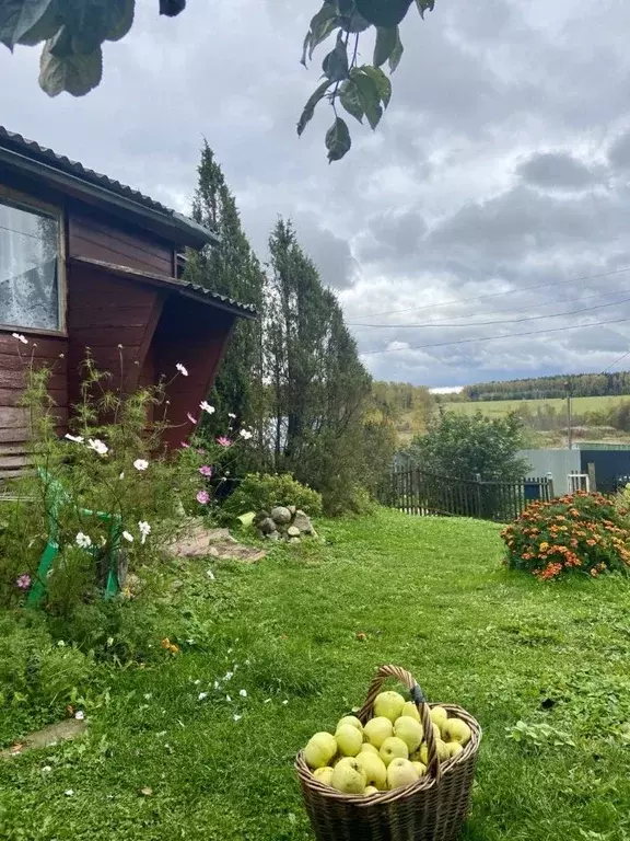 Дом в Ивановская область, Приволжский район, Плесское городское ... - Фото 1