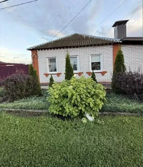 Дом в Белгородская область, Алексеевка ул. Никитина (80 м) - Фото 2