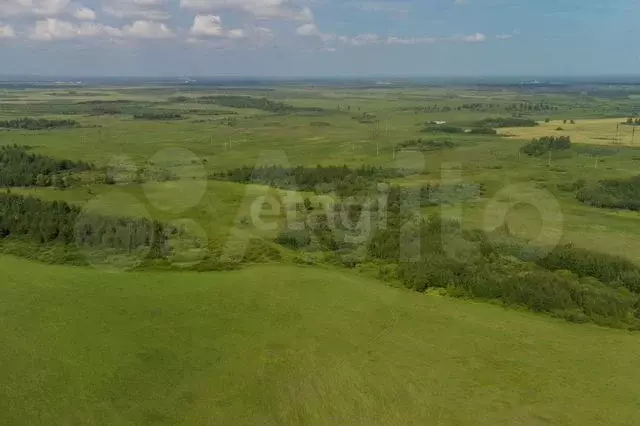 Участок 7,5 сот. (ИЖС) - Фото 0