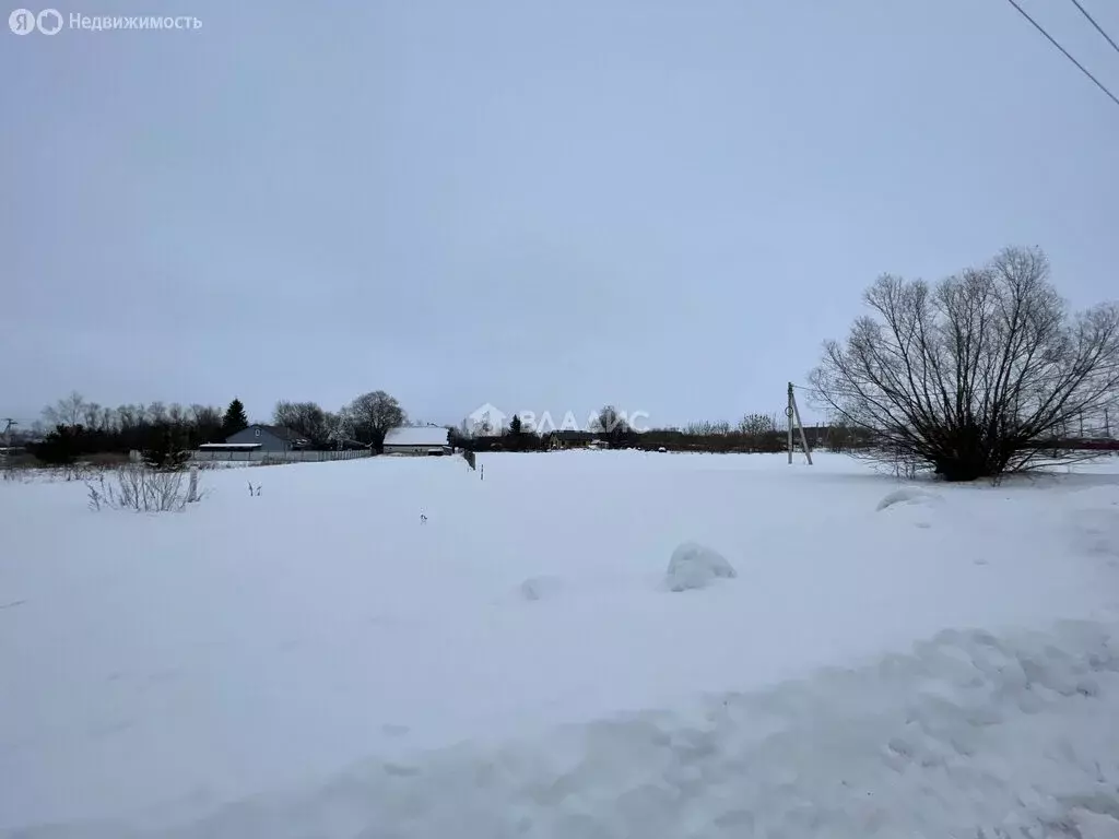 Участок в Московская область, муниципальный округ Серебряные Пруды, ... - Фото 2