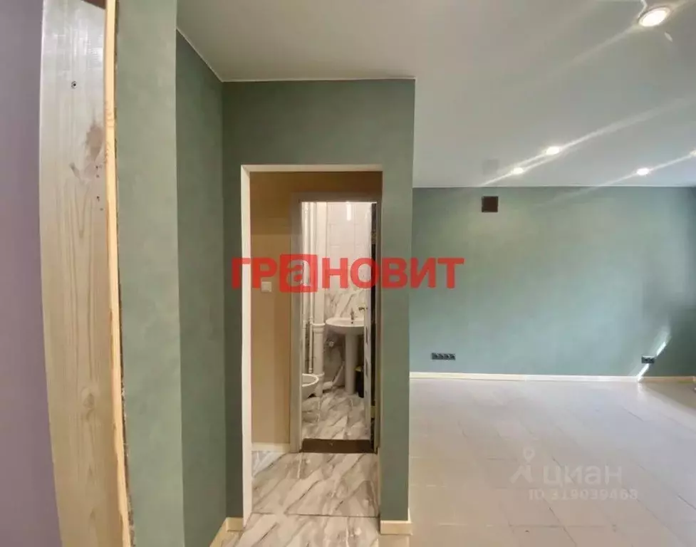 Помещение свободного назначения в Новосибирская область, Новосибирск ... - Фото 1