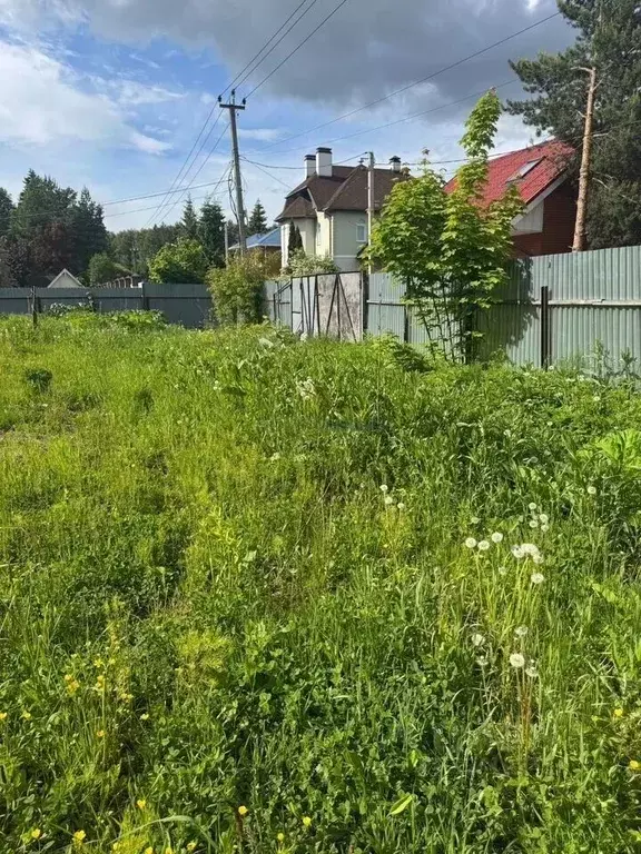 Участок в Московская область, Мытищи городской округ, д. Красная ... - Фото 2