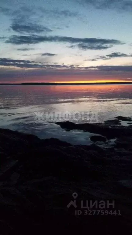 Дом в Новосибирская область, Ордынский район, д. Ерестная Береговая ... - Фото 1
