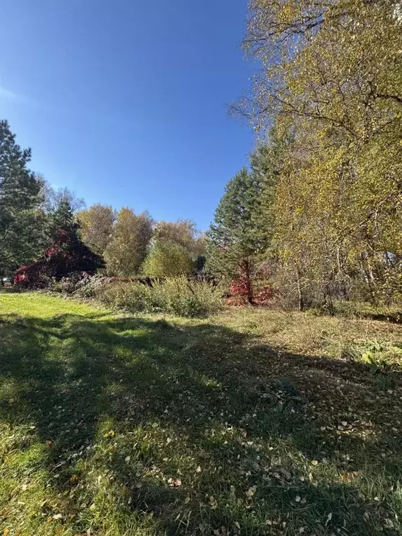 Участок в Алтайский край, Первомайский район, с. Фирсово ул. Фирсова ... - Фото 0