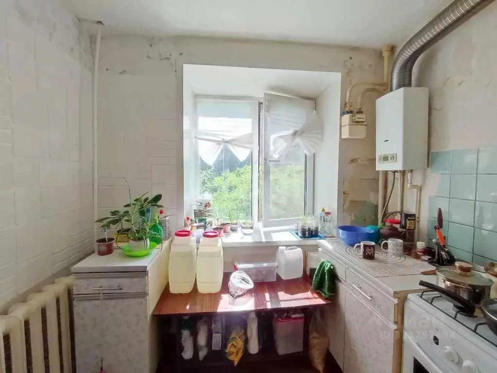 1-к кв. Костромская область, Буй ул. Социализма, 25 (27.1 м) - Фото 1