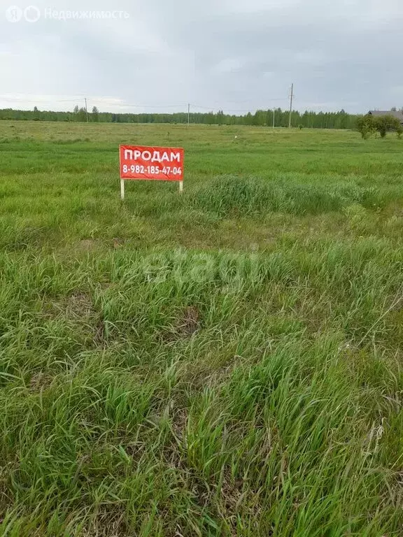 Участок в село Большое Сорокино, улица Островского (15 м) - Фото 0