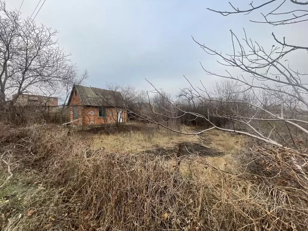Участок в Краснодарский край, Ейск Восход СНТ, ул. 9-я (5.0 сот.) - Фото 1