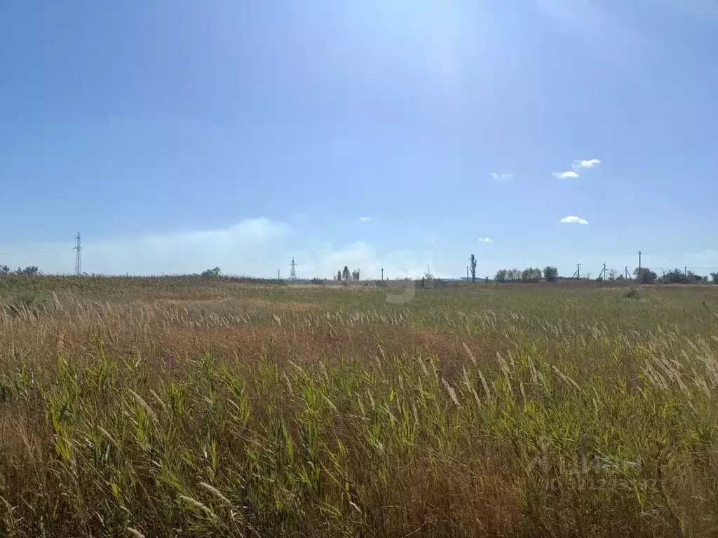 Участок в Краснодарский край, Темрюк Шоссейная ул. (10.0 сот.) - Фото 1