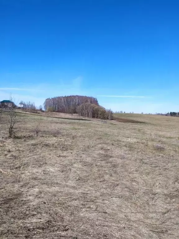 Участок в Смоленская область, Смоленский район, д. Козино  (11.6 сот.) - Фото 1